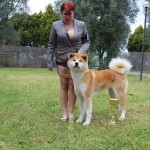 3° AL RAGRUPPAMENTO NAZ.DOG SHOW BARI