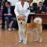 2° CLASSIFICATO AL RAGGRUPPAMENTO INT.DOG SHOW TARANTO