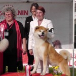 3° CLASSIFICATO AL RAGGRUPPAMENTO INT.DOG SHOW CASERTA