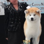 hasu-ta-2017-1