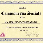 yomecampsociale003