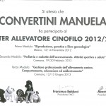 masterconvertini0001