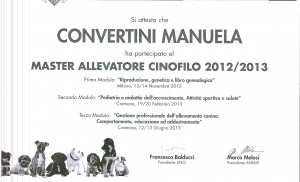 masterconvertini0001