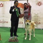 RYOUKA BEST FEMALE UNDER 103 AKITA