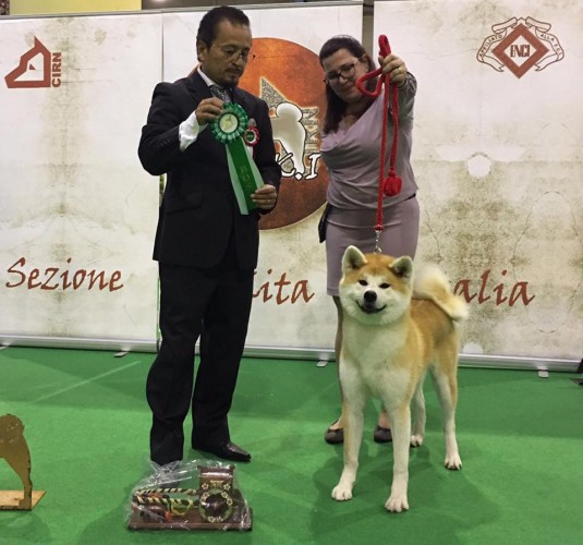 RYOUKA BEST FEMALE UNDER 103 AKITA